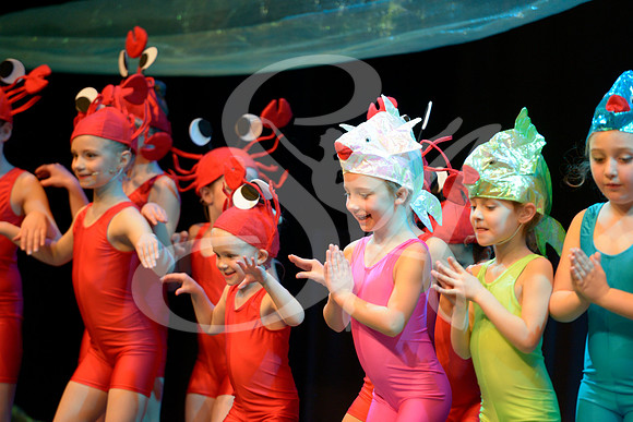 002 UNDER THE SEA MERROWAY COVE - 16